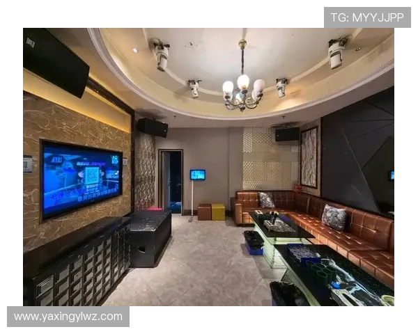 亚星娱乐管理平台：结合大数据技术优化艺人资源配置与市场推广策略