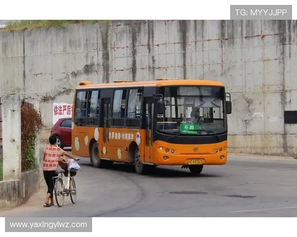 亚星官网正网平台功能介绍，全面了解亚星官网正网提供的各项服务与操作指南