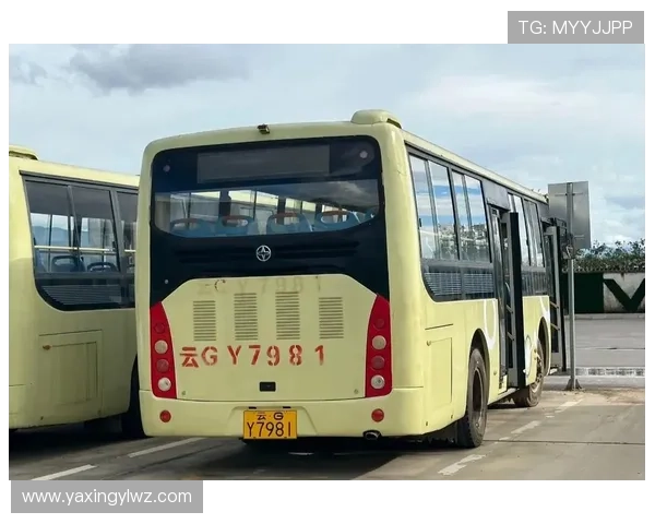 亚星官网平台入口最新动态，第一时间掌握亚星官方平台的最新公告和更新信息