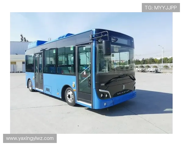 亚星手机版官方登录入口官方登录流程详解，操作简单快捷