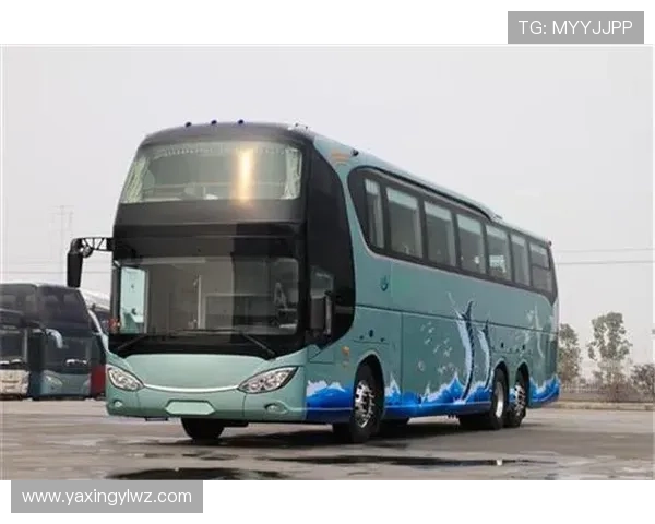 亚星YBL6148H2QP2客车公告最新发布，全面解析车辆性能与安全保障措施