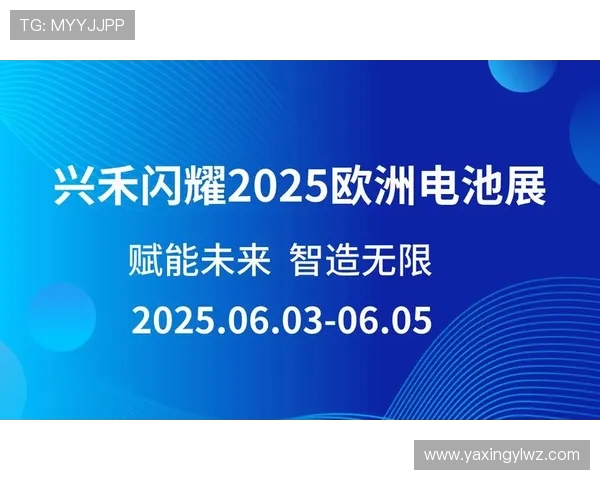 亚星手机版官方登录入口最新更新信息及登录流程全解析