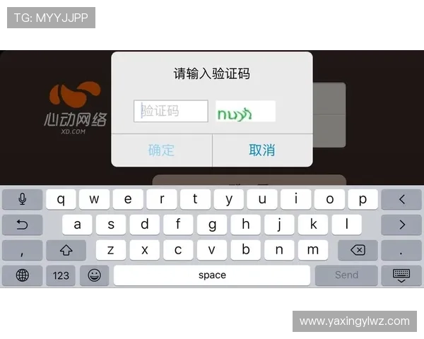 亚星游戏官网登录入口验证码常见问题及解决方案全面解析