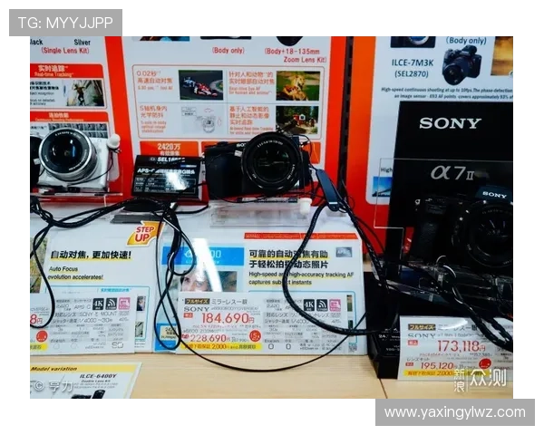 亚星线上登陆常见问题及解决方案详细解析让你无忧畅玩游戏体验