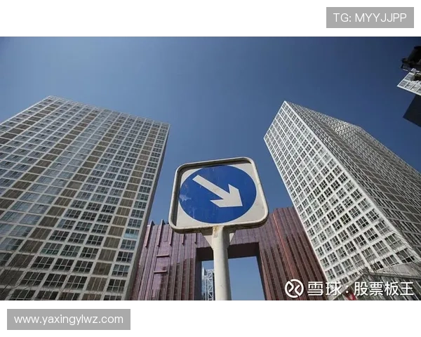 亚星集团近期的财务状况变化及投资者应关注的重点事项